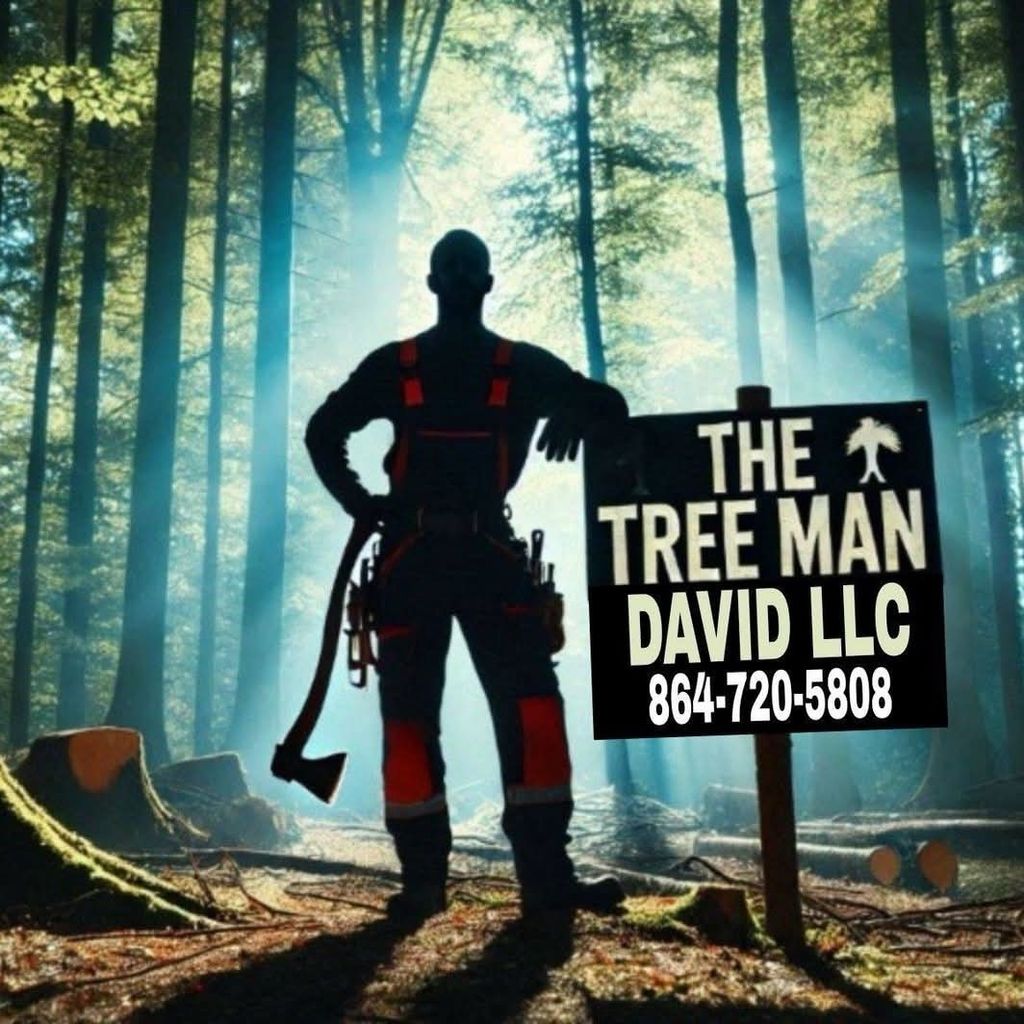 The Tree Man David LLC