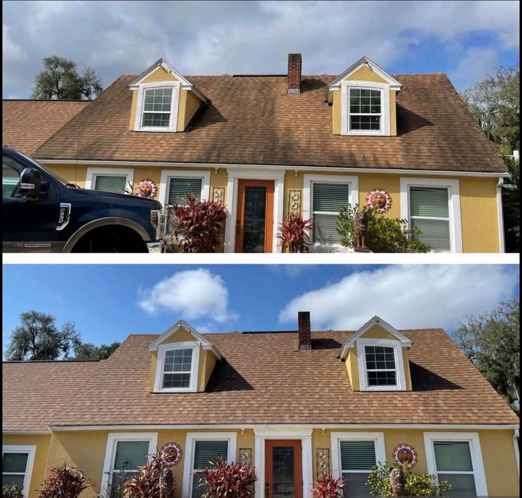 Roof Cleaning