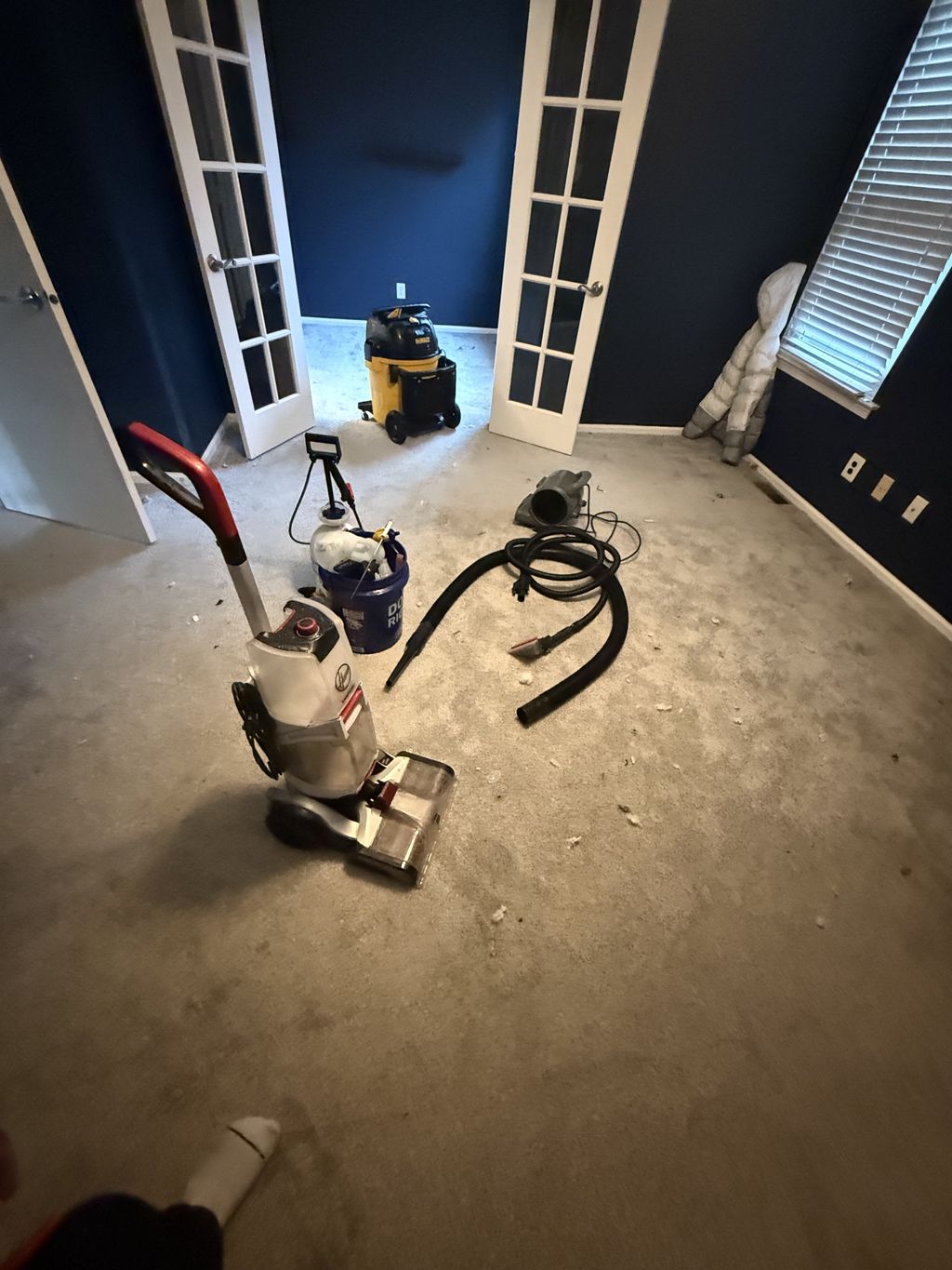 Carpet Cleaning