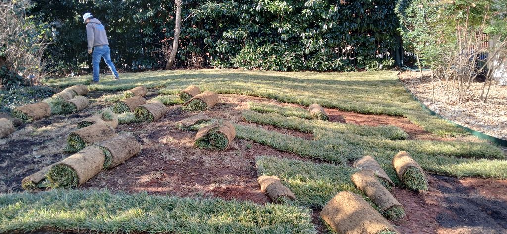 Sod Installation