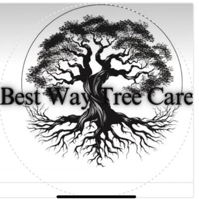 Avatar for Best way tree care