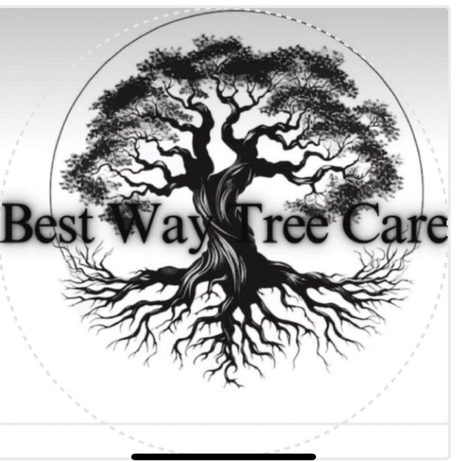 Best way tree care