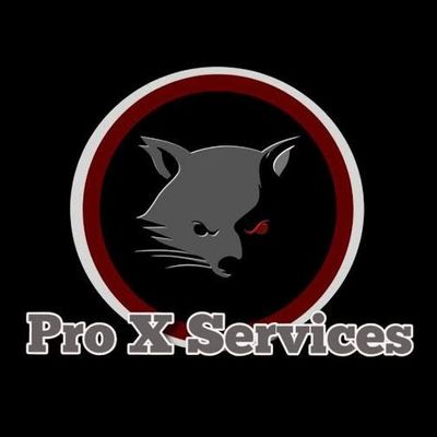 Avatar for Pro X Services