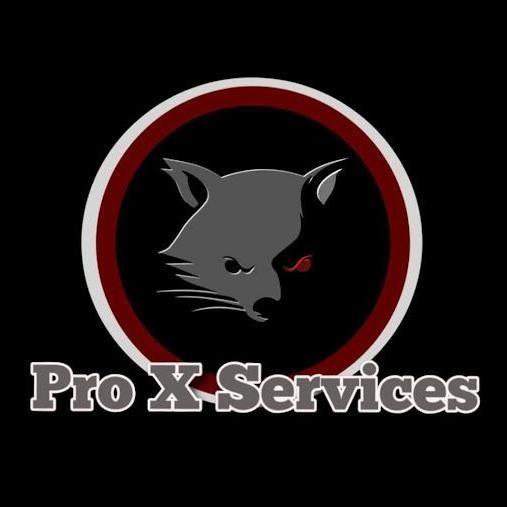 Pro X Services