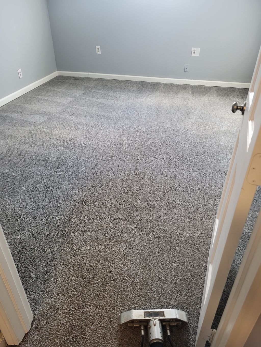 Carpet Cleaning