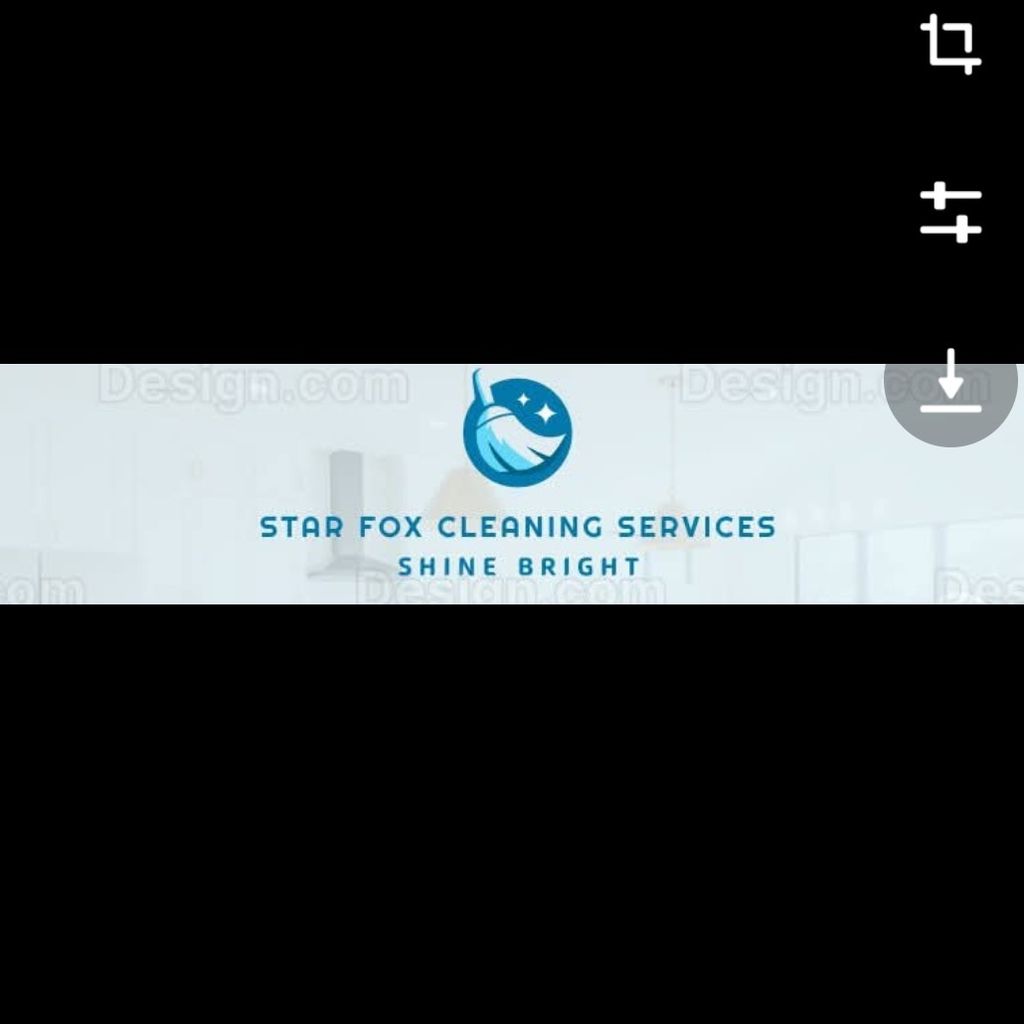 Star Fox Cleaning Services