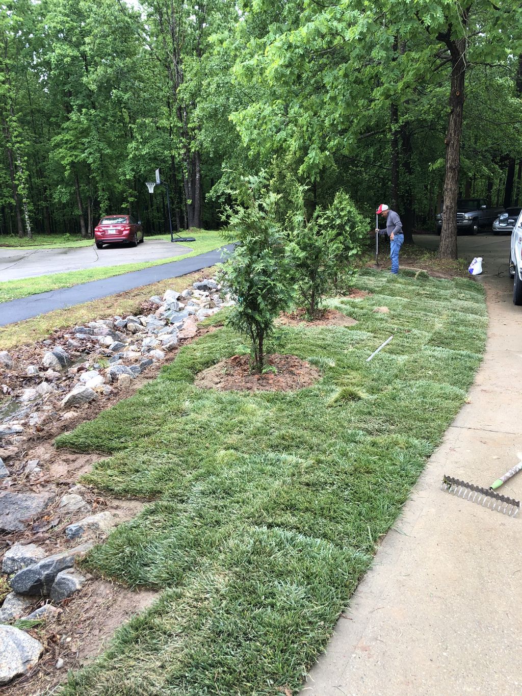 Sod Installation