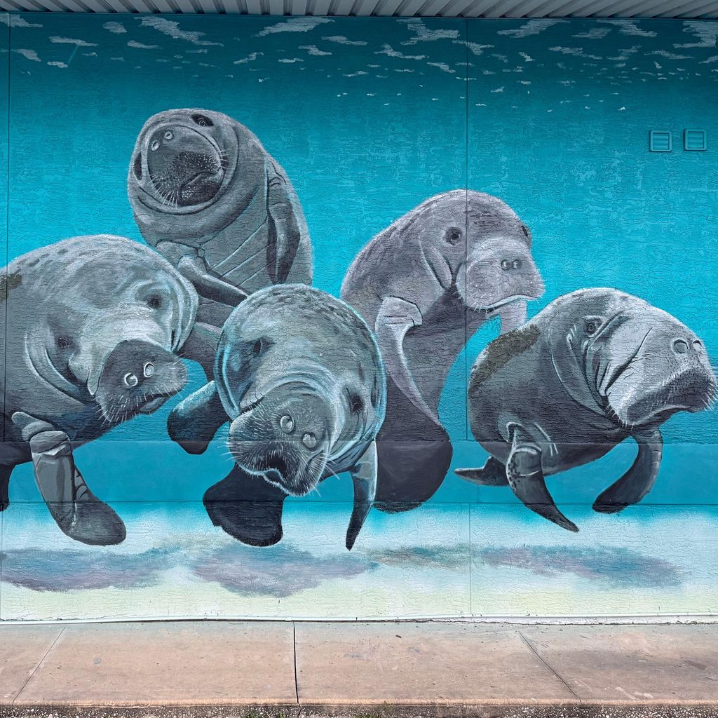 South Florida Murals - ArtFX Design Studios