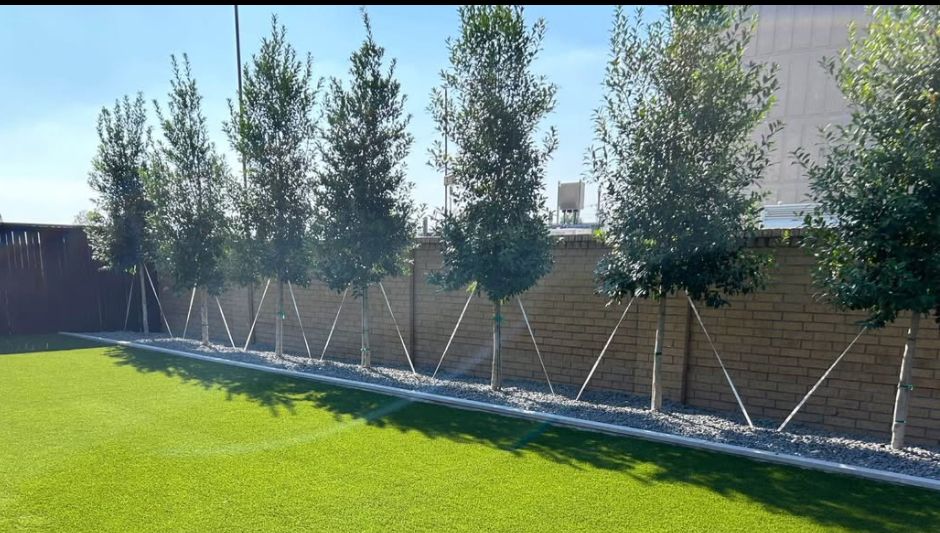 Outdoor Landscaping and Design