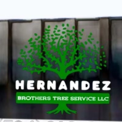 Avatar for Hernandez brothers tree service LLC