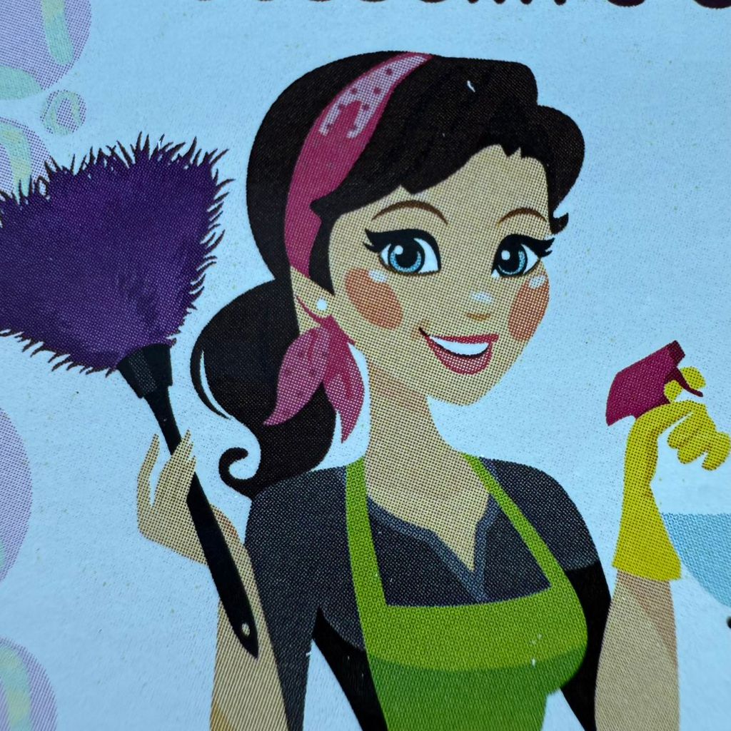 Josselin cleaning service