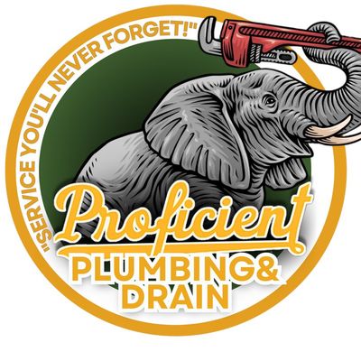 Avatar for Proficient Plumbing and Drain