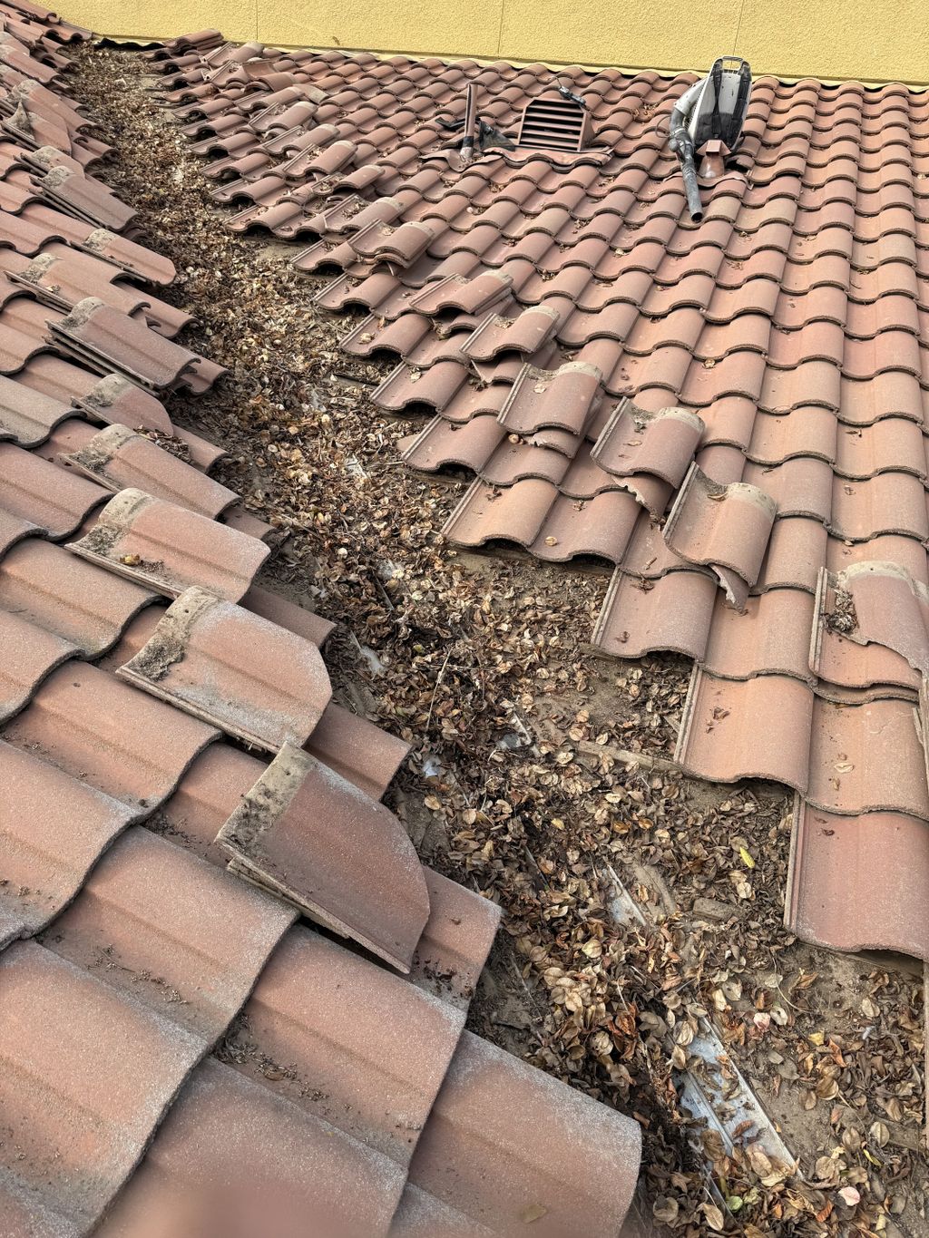 Roof Repair or Maintenance