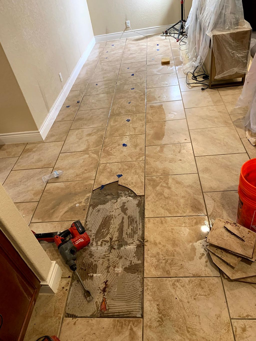 Floor Installation or Replacement