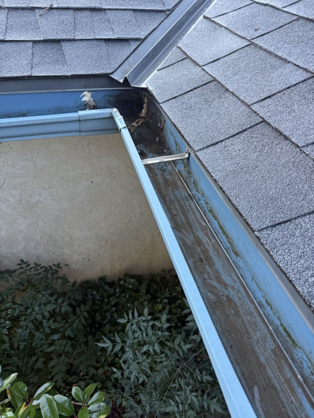 Gutter Cleaning and Maintenance