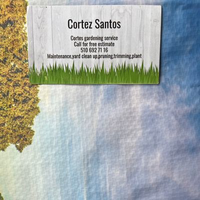 Avatar for Cortez gardening services