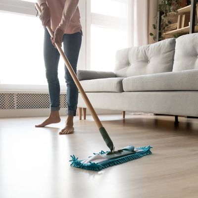 Avatar for Successful Cleaning