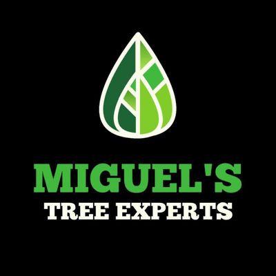 Avatar for Miguel's Tree Experts