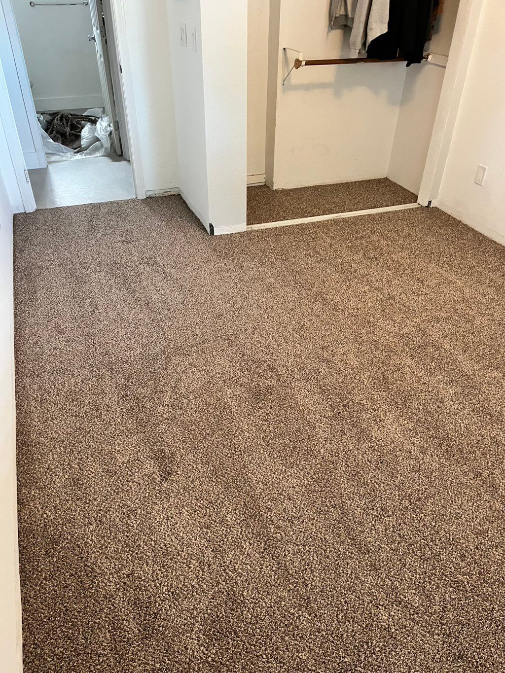 Affordable durable Shaw carpet!