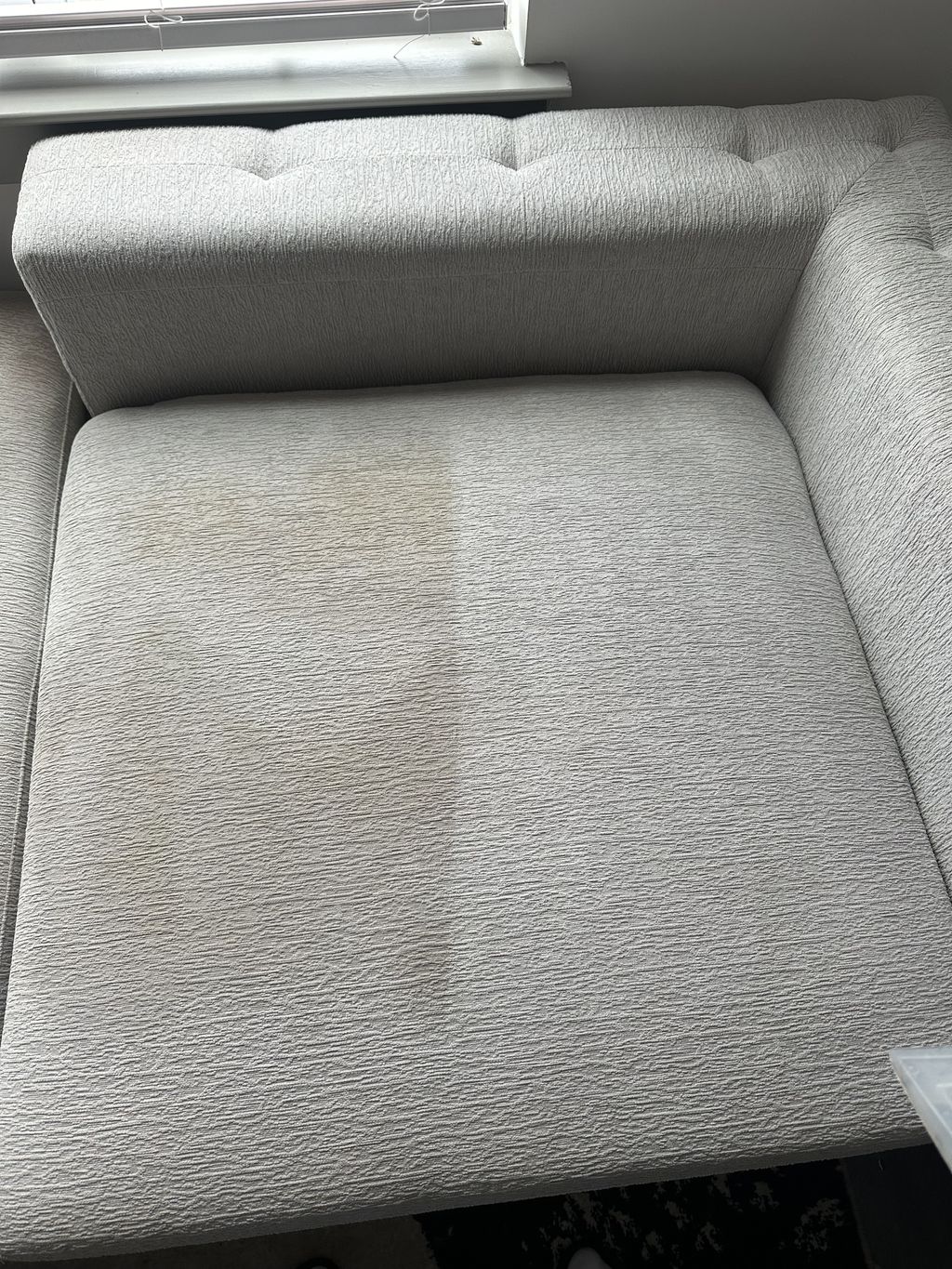 Upholstery and Furniture Cleaning