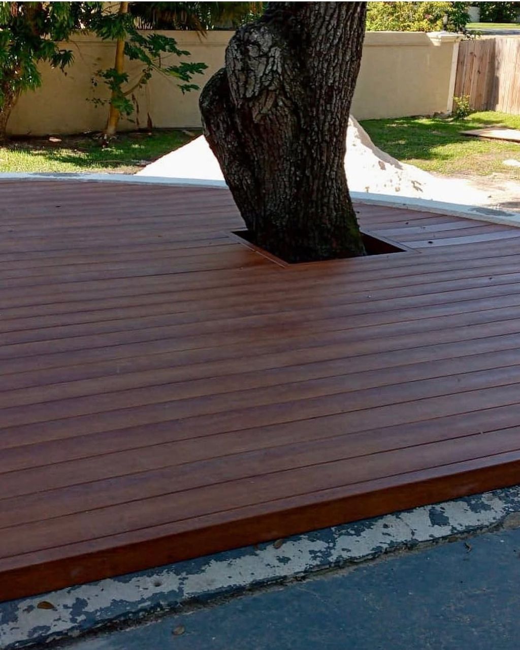 Deck with mature tree framed