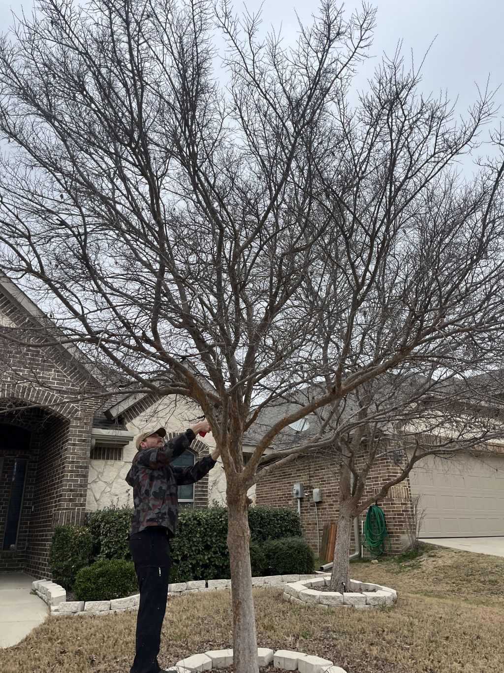 Tree Trimming and Removal