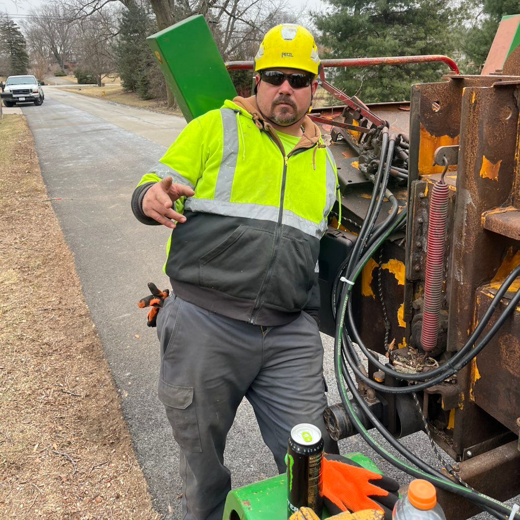 Charlie’s tree care