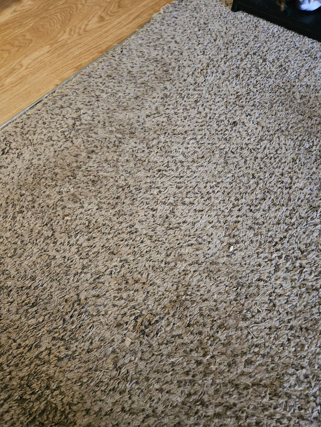 Floor Installation or Replacement