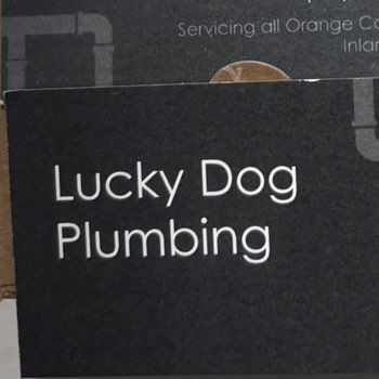 Avatar for Lucky Dog drain cleaning and plumbing services