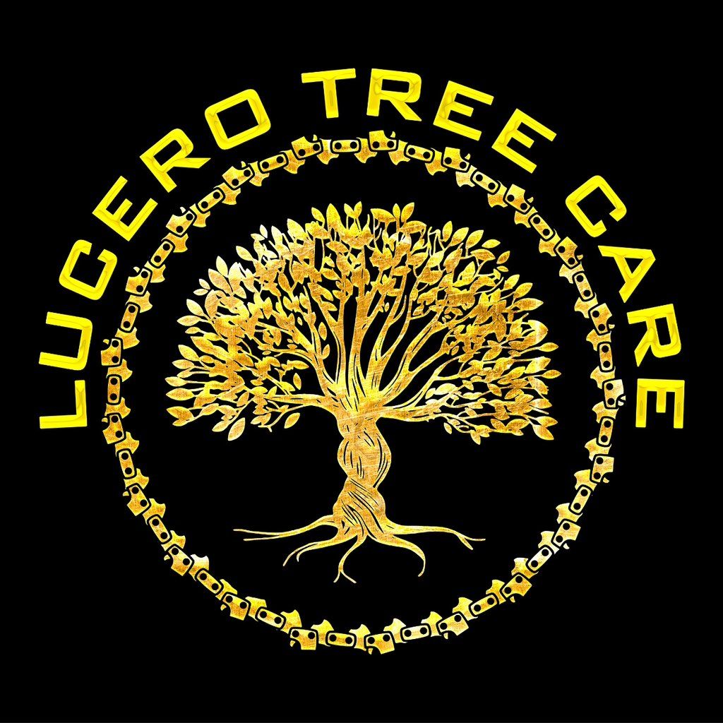 Lucero Tree Care