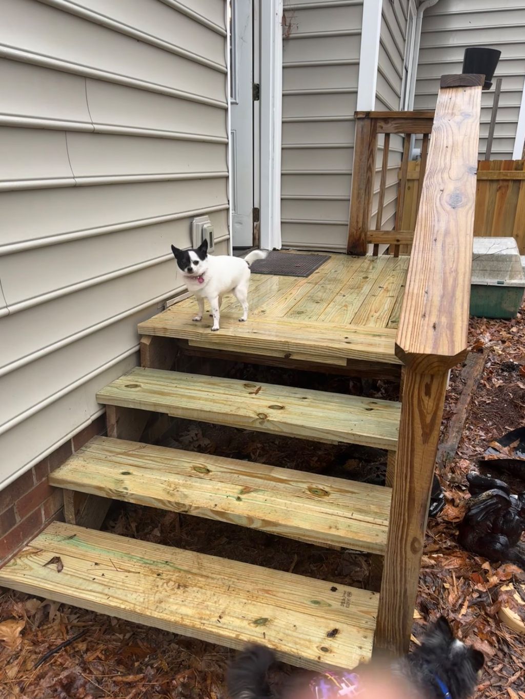 Customer photos