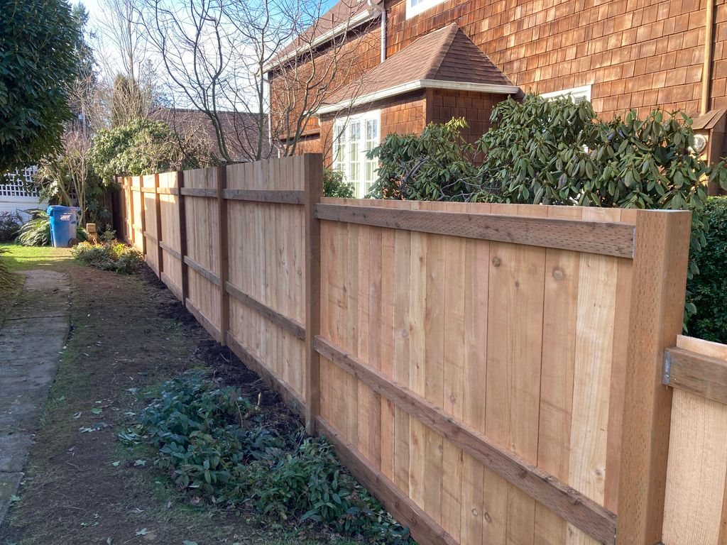 cedar fence