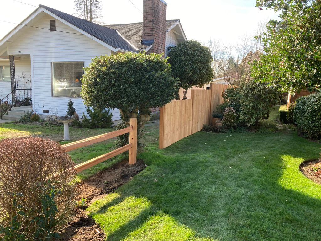 cedar fence