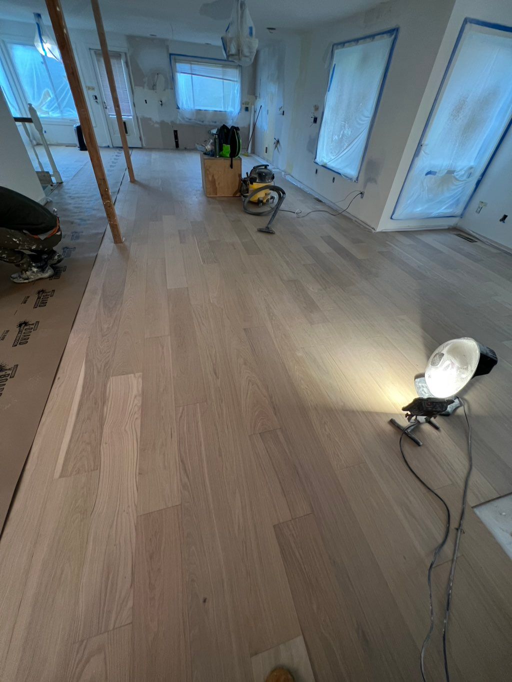 Projects and media