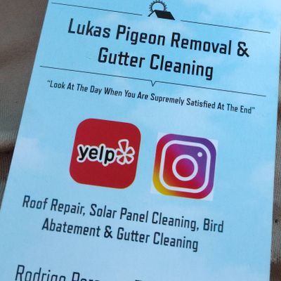 Avatar for Lukas Pigeon Removal & Gutter Cleaning