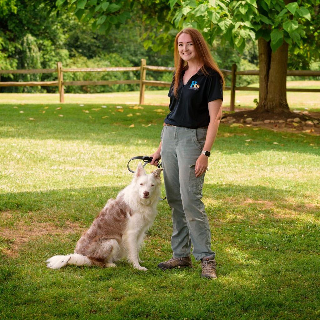 Highland Canine Training Raleigh