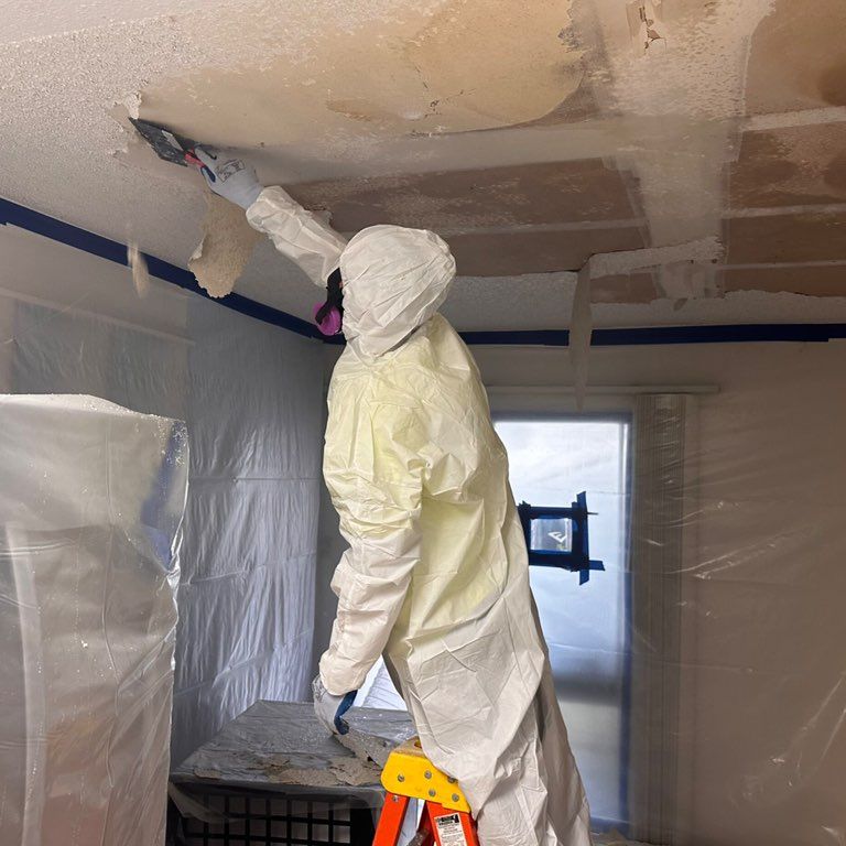 Asbestos Removal LA