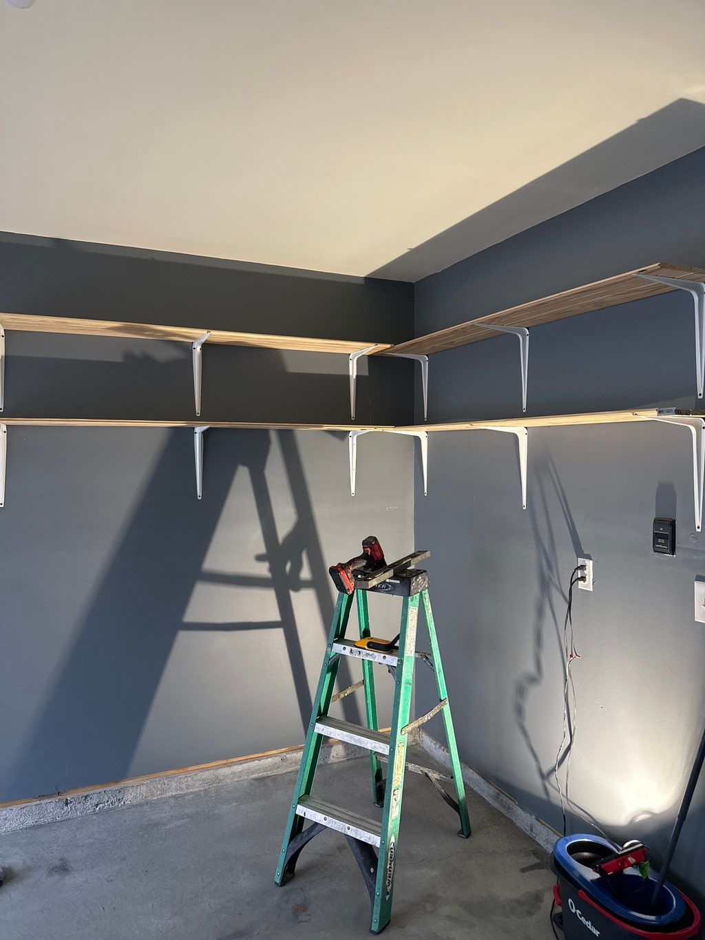 Projects and media