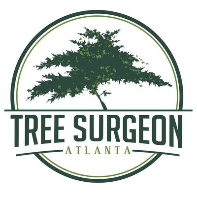 Avatar for Tree Surgeon Atlanta