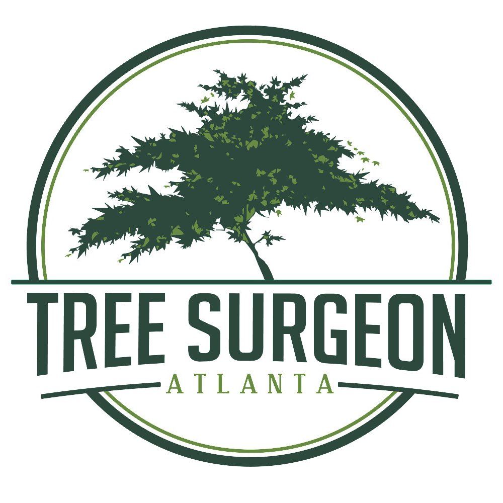 Tree Surgeon Atlanta