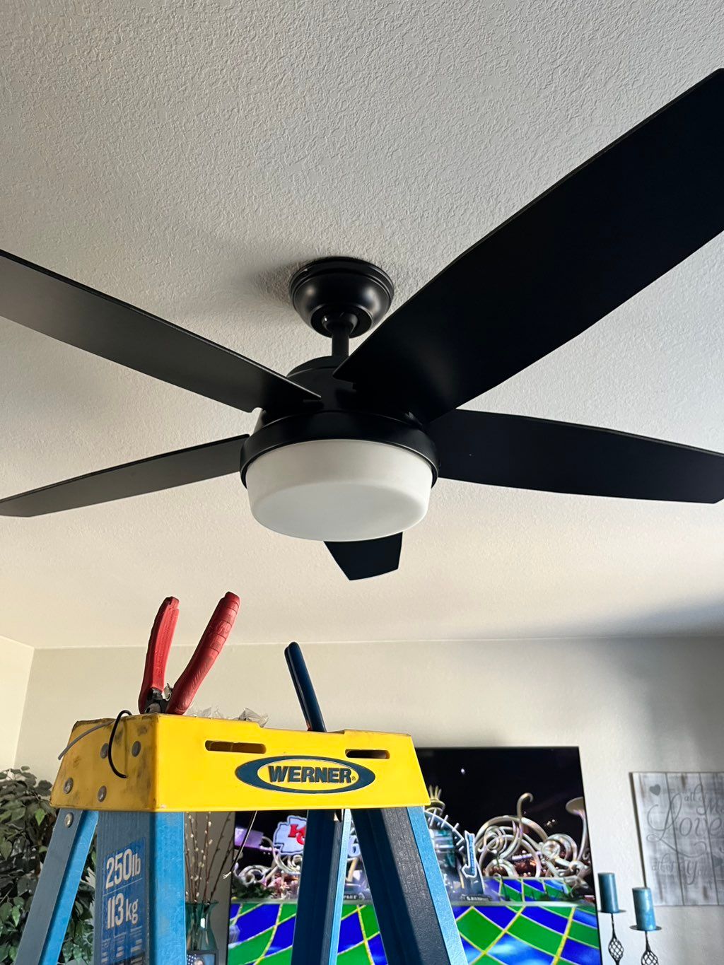 Added new ceiling fan in living room 
