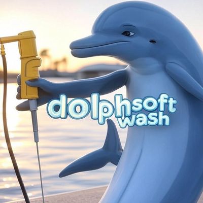 Avatar for DOLPH SOFT WASH