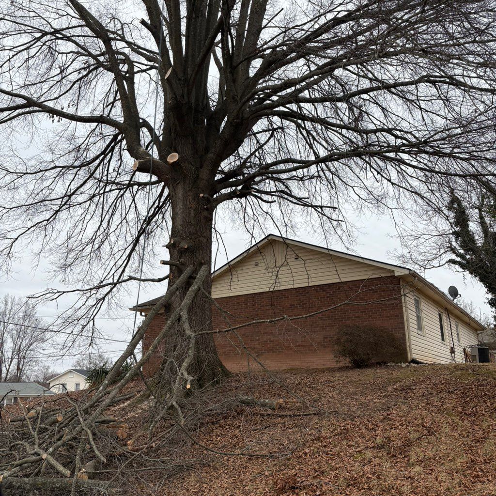 Family Hauling and Tree removal LLC