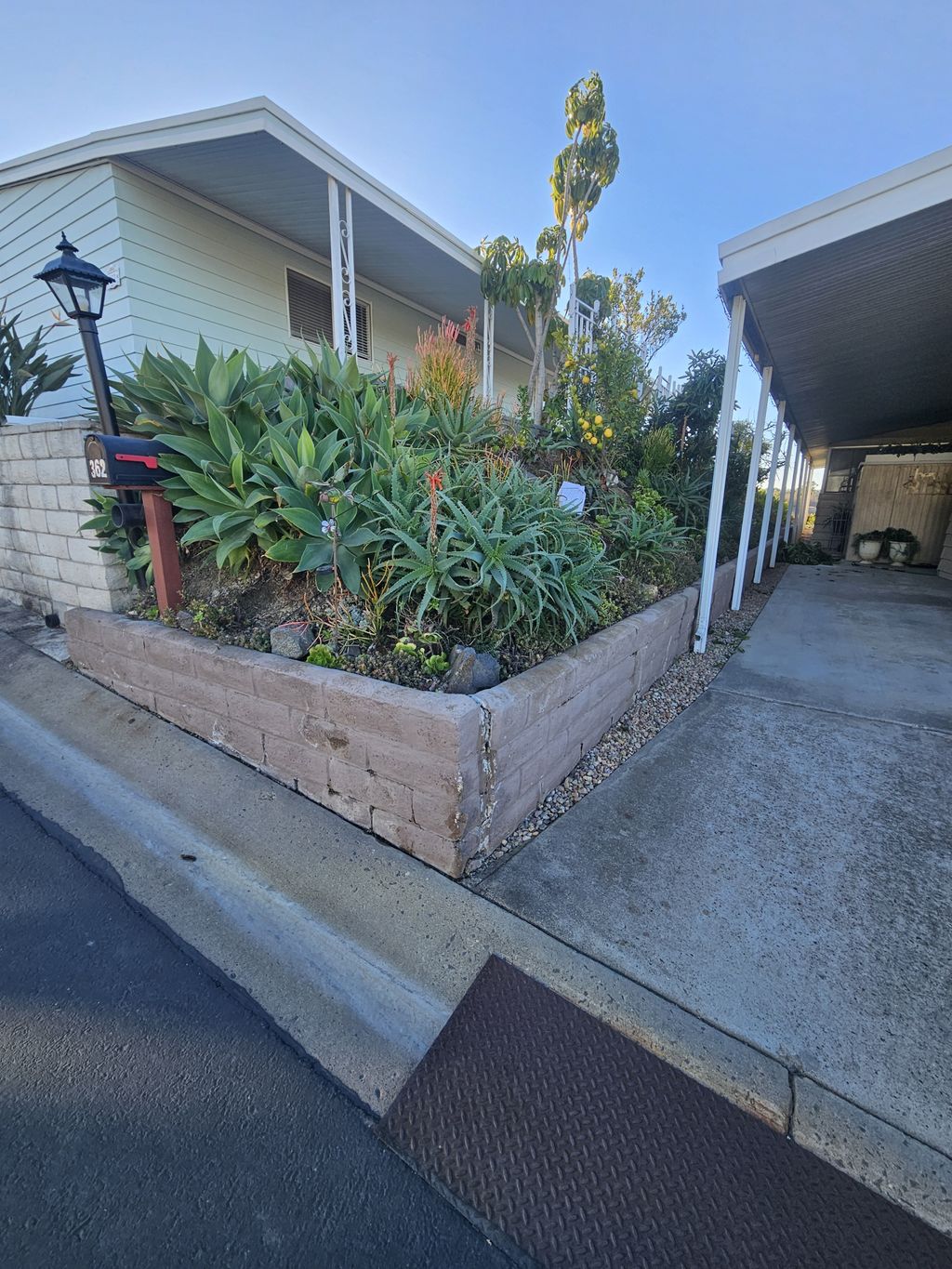 Old retaining wall 