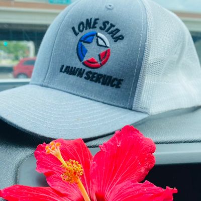 Avatar for ⭐️LONE STAR LAWN SERVICE⭐️