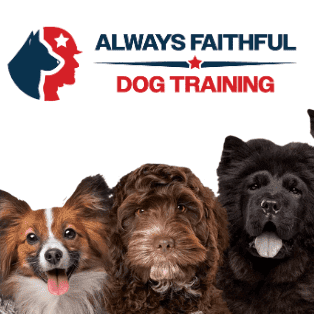 Avatar for Always Faithful Dog Training of Omaha