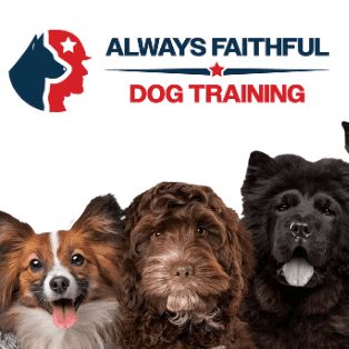 Always Faithful Dog Training of Omaha