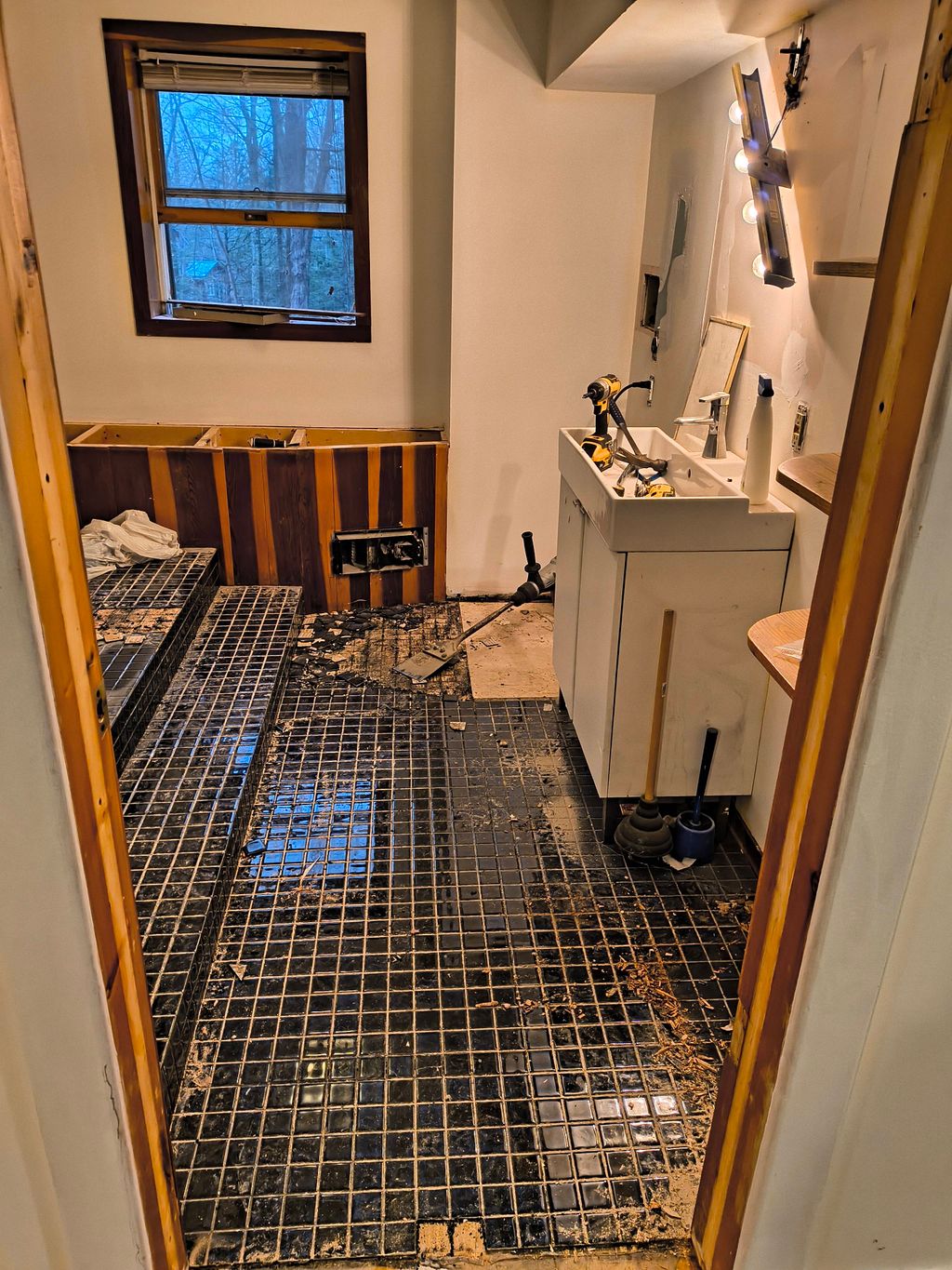 Original bathroom before teardown 