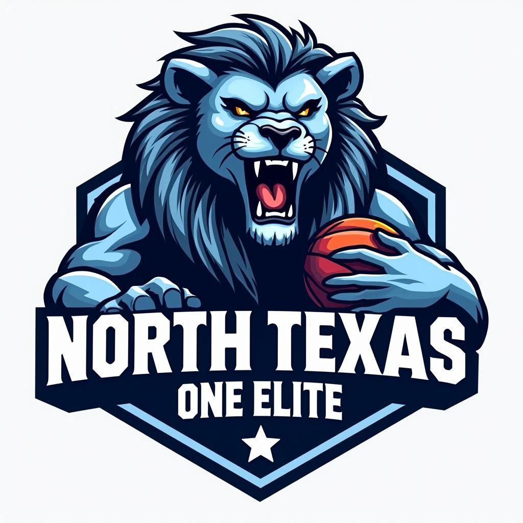 North Texas One Elite Basketball Academy