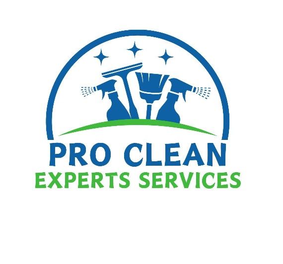 pro clean Experts services